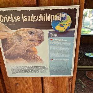 Taiga - Hermann's tortoise signage