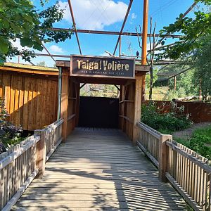 Taiga - New Taiga aviary