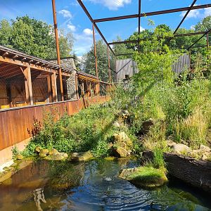 Taiga - New Taiga aviary