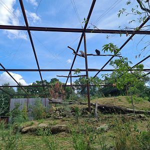 Taiga - New Taiga aviary