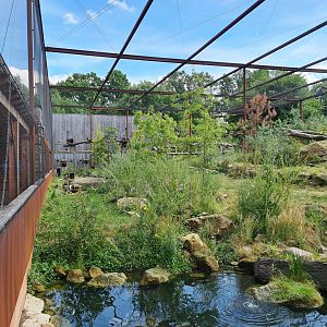 Taiga - New Taiga aviary