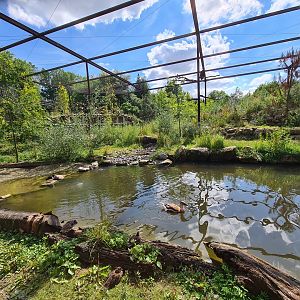 Taiga - New Taiga aviary