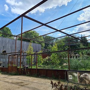 Taiga - New Taiga aviary