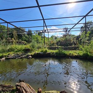 Taiga - New Taiga aviary