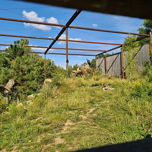 Taiga - New Taiga aviary