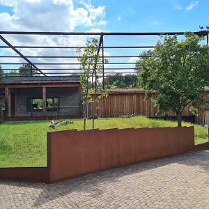 Taiga - New European ground squirrel enclosure