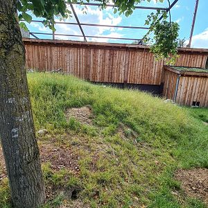 Taiga - New European ground squirrel enclosure