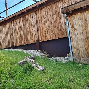 Taiga - New European ground squirrel enclosure