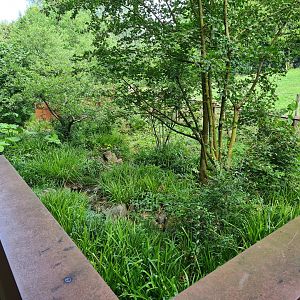 Taiga - First European mink enclosure