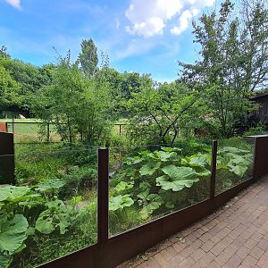 Taiga - First European mink enclosure