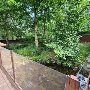 Taiga - Third European mink enclosure