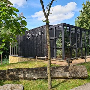 Taiga - Limburg house upper floor