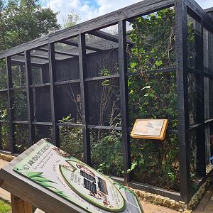 Taiga - European garden dormouse outdoor enclosure