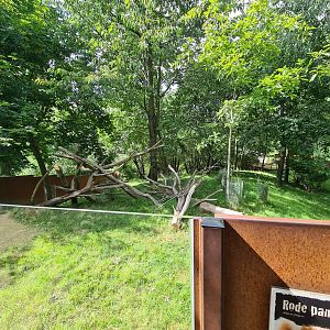 Taiga - Red panda and Reeves muntjac enclosure