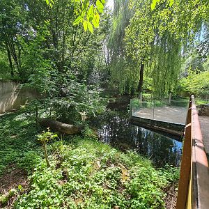 Taiga - Eurasian otter enclosure
