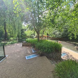 Taiga - Eurasian otter viewing area