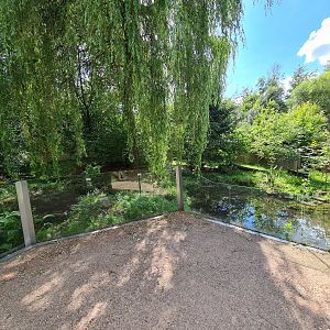 Taiga - Eurasian otter enclosure