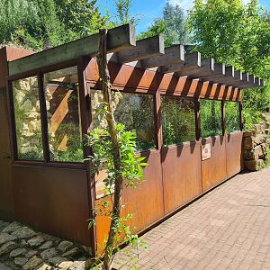 Taiga - Outdoor Smooth snake enclosures