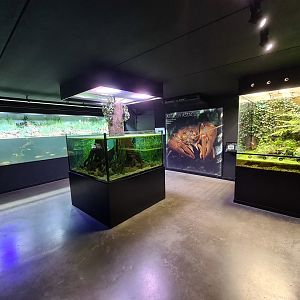 Taiga - Limburg house interior