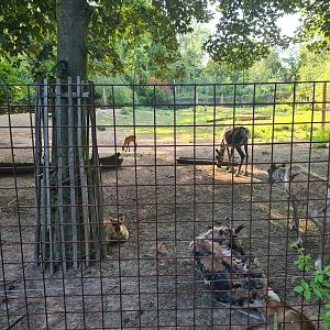 Reindeer enclosure seen from the exit route