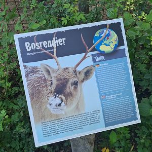 European reindeer signage