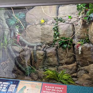 Tropical Bird House - Hanging Parrot Exhibit