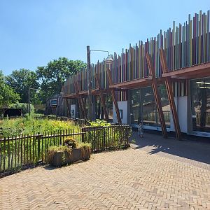 Indoor Bonobo enclosure