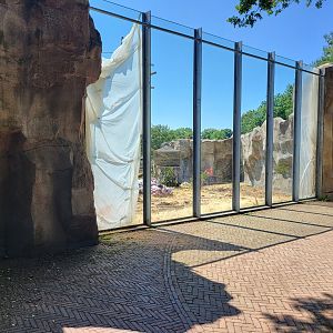 Viewing window Bonobo outdoor-enclosure