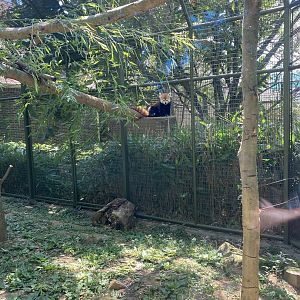 Red Panda Outdoor 7-11-2023