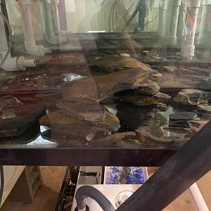 Hellbender breeding Tanks 7-11-2023