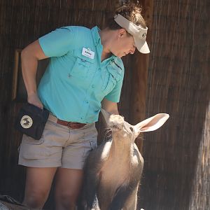 Keeper With Aardvark