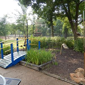 6/23/2023 - Animal Sculpture Garden