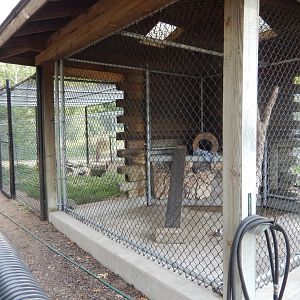 6/23/2023 - Red Fox Exhibit