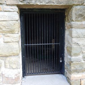 6/23/2023 - Coati Den