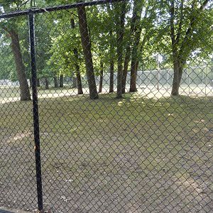 6/23/2023 - Equine Habitat (Right Half)