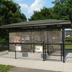 6/23/2023 - Bird Cage