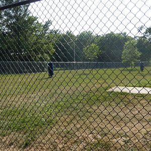 6/23/2023 - Dromedary Camel Habitat