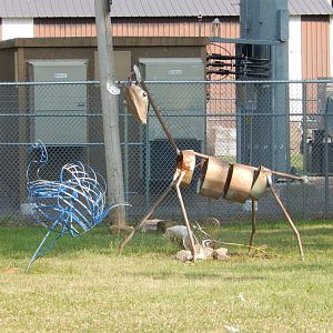 6/23/2023 - Ratite & Dik-Dik Sculptures