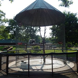 6/23/2023 - Ring-Tailed Lemur Cage