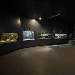 Diversity of Life Building