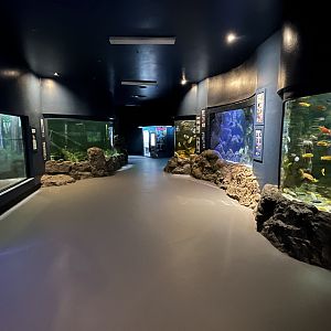 Diversity of Life Building