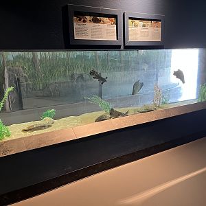 Diversity of Life Building