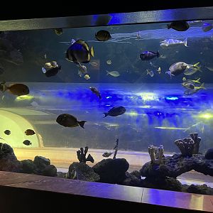 Diversity of Life Building