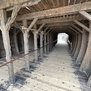 Shipwreck Cove - California Sea Lions