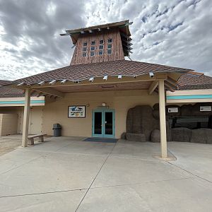 Wild and Wonderful Building