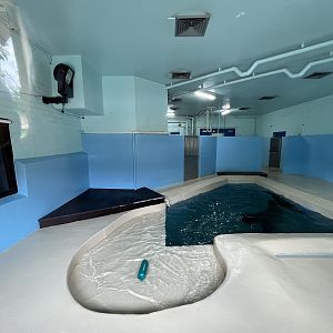 California Sea Lion Indoor Exhibit