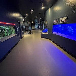 Wild and Wonderful Building