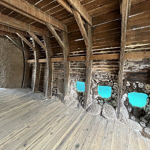 Shipwreck Cove - California Sea Lions