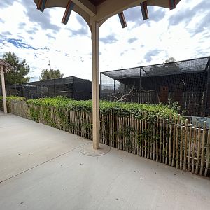 Parakeet Aviaries (3 species)