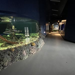 River Monsters Building